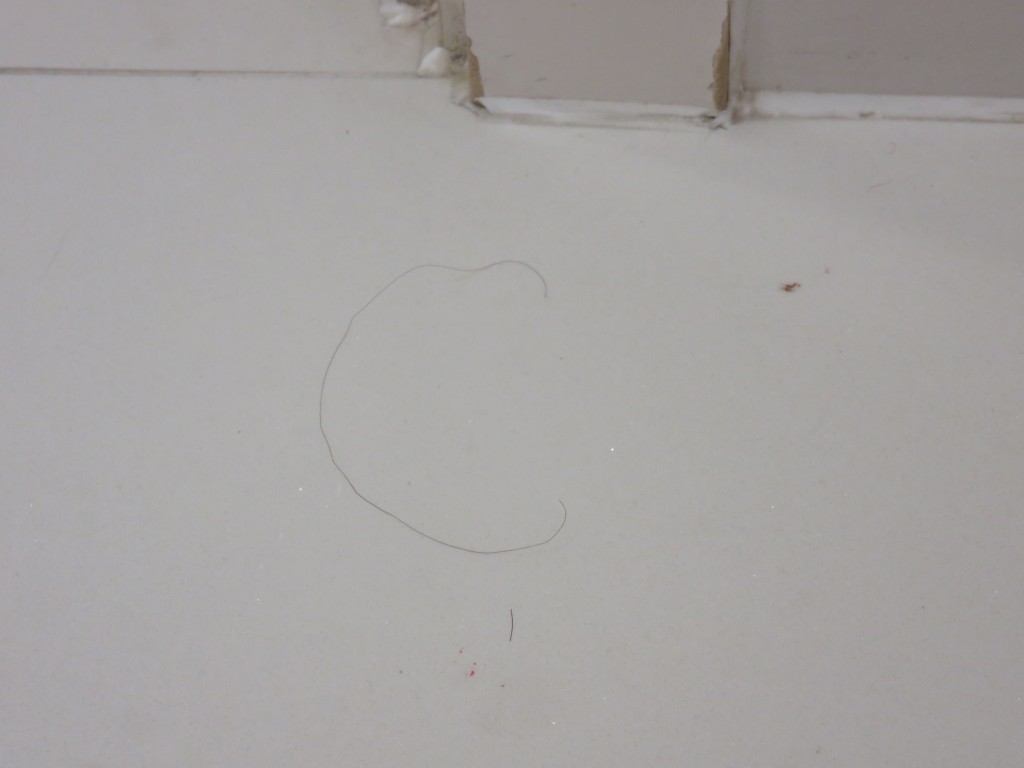Bathroom after cleaning #1